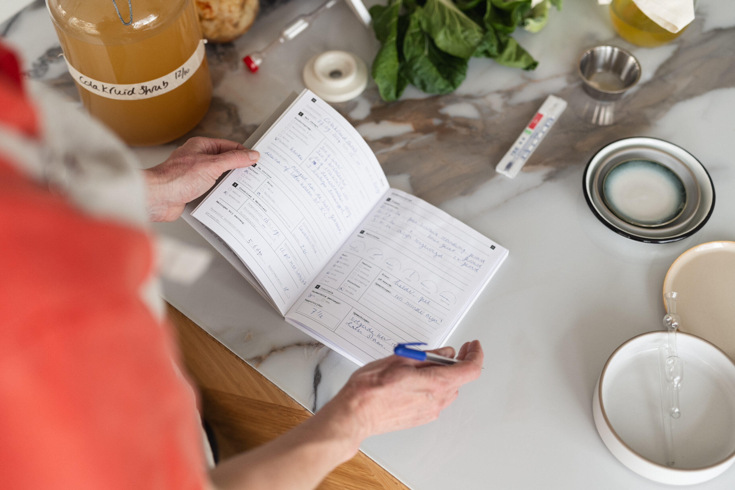 ROTLOG 3 RotLog invullen met gemaakte fermentaties en de resultaten